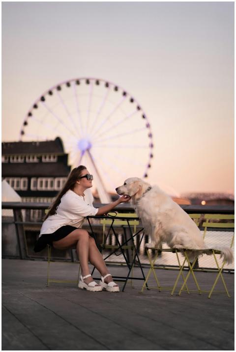 A woman sits with her dog near a Ferris wheel at s
