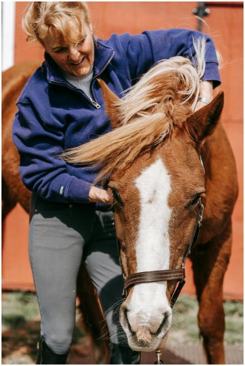 A woman in a blue jacket grooms a brown horse with