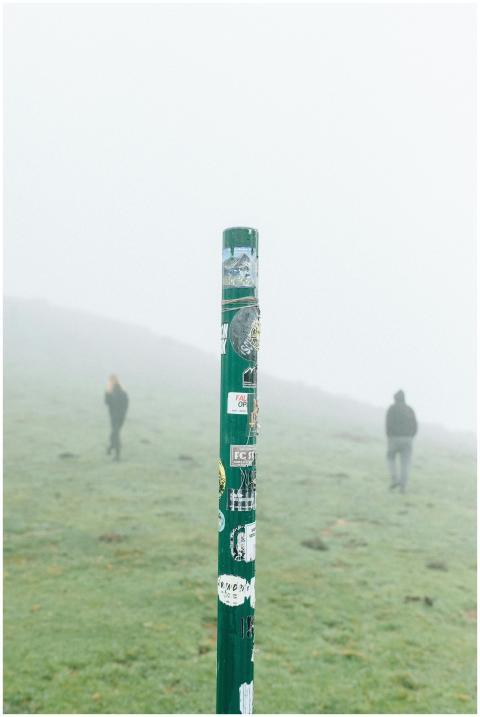 Foggy landscape scene featuring a sticker-covered