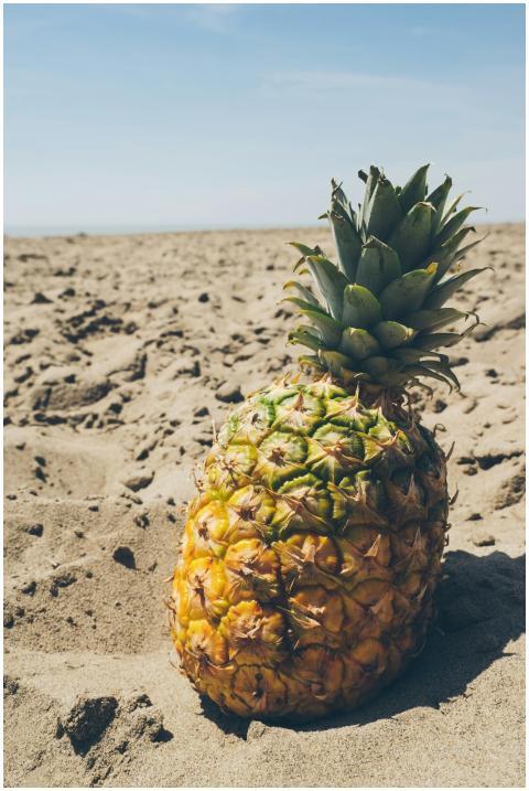 Juicy pineapple on sandy beach under bright blue s