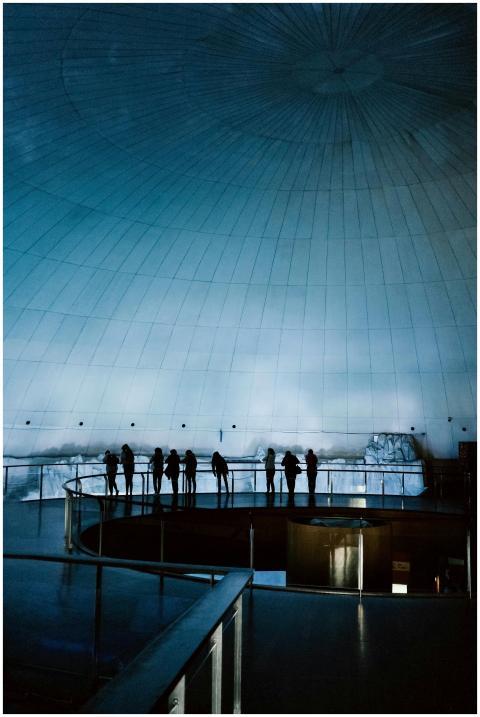 Silhouettes of people observing an underwater dome