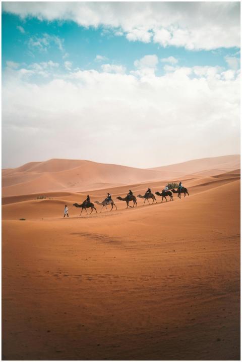 A camel caravan traverses the vast sand dunes of A
