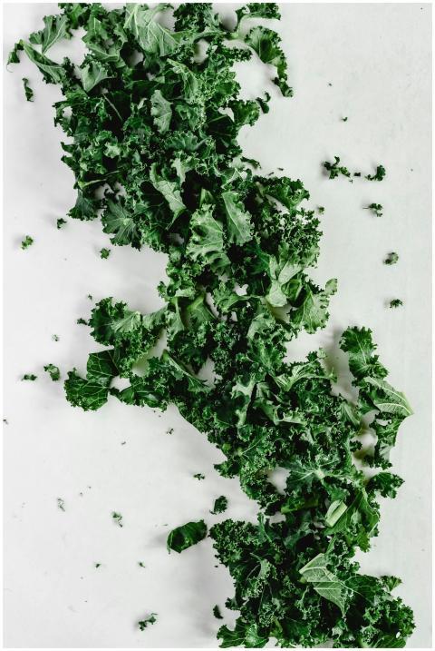 Close-up of fresh organic kale leaves scattered on