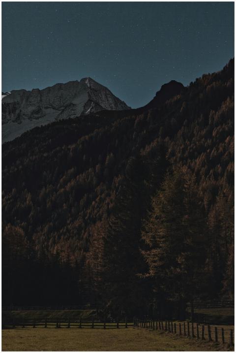 A serene night view of mountains and forest under