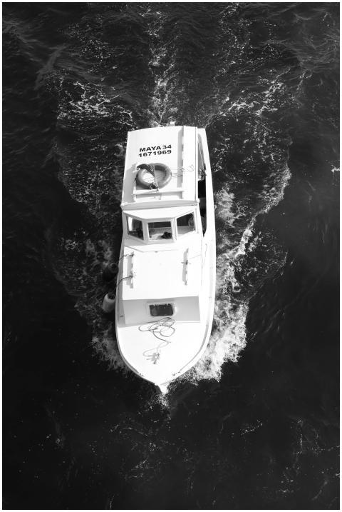 Free stock photo of black and white, sea, wave