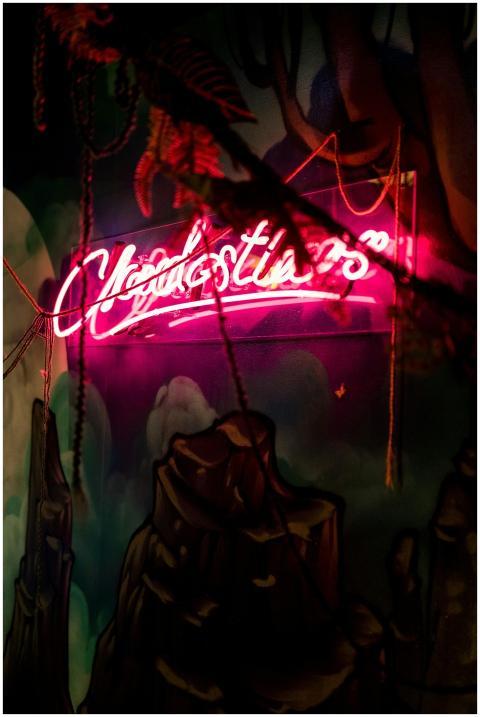 Illuminated neon sign in a jungle-themed setting e