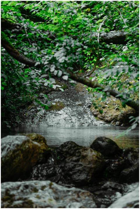 Peaceful creek surrounded by lush greenery and roc