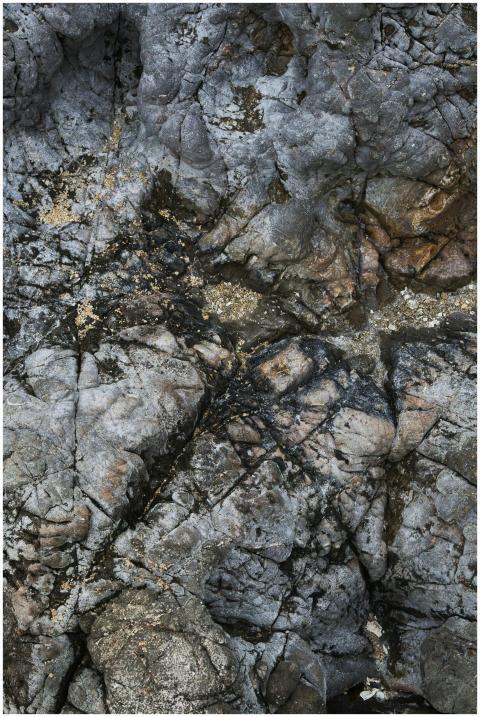 Textured Rocky Surface Natural