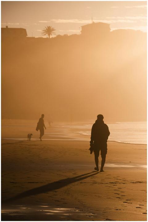 Silhouettes walking along a serene beach during su