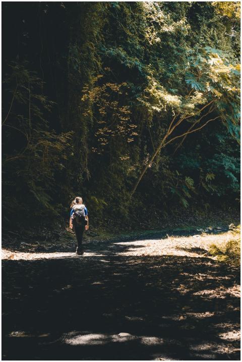 A person walking on a sunlit dirt path through a l