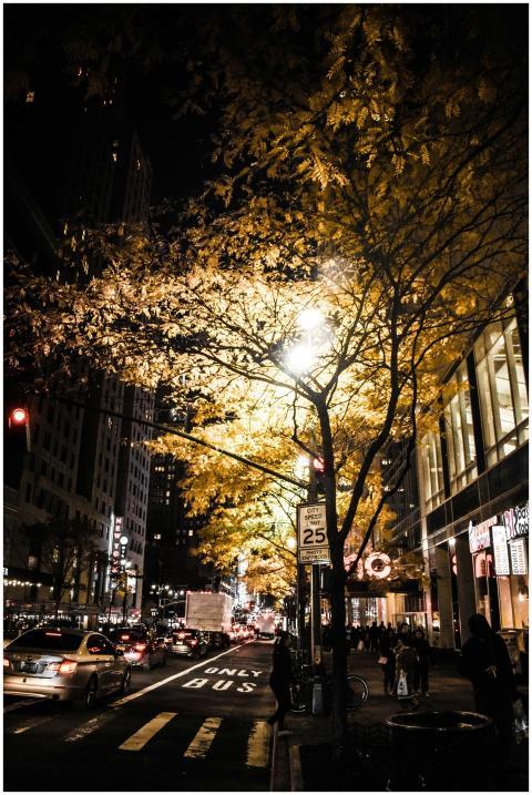 A vibrant city street at night featuring illuminat