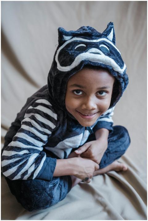 Adorable child wearing a raccoon costume, sitting