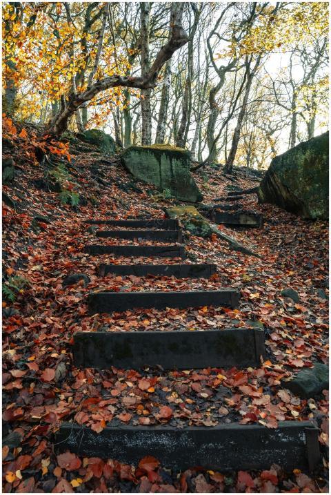 Free stock photo of 2025 wallpaper, 4k nature, a f