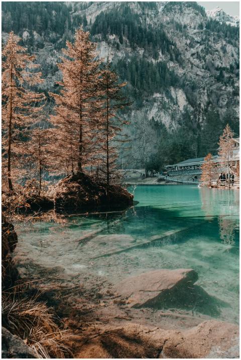 Discover the serene beauty of Blausee with lush fo