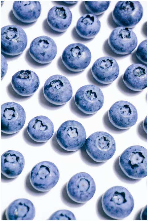 Fresh blueberries neatly arranged in rows on a whi