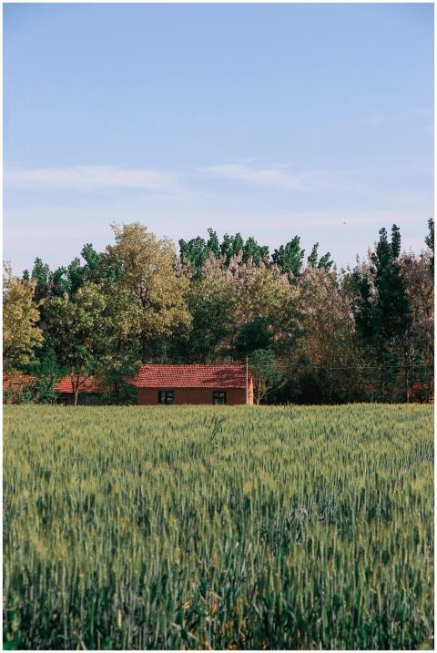 Picturesque countryside scene with a farmhouse nes