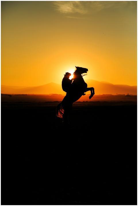 Silhouette of a cowboy riding a rearing horse agai