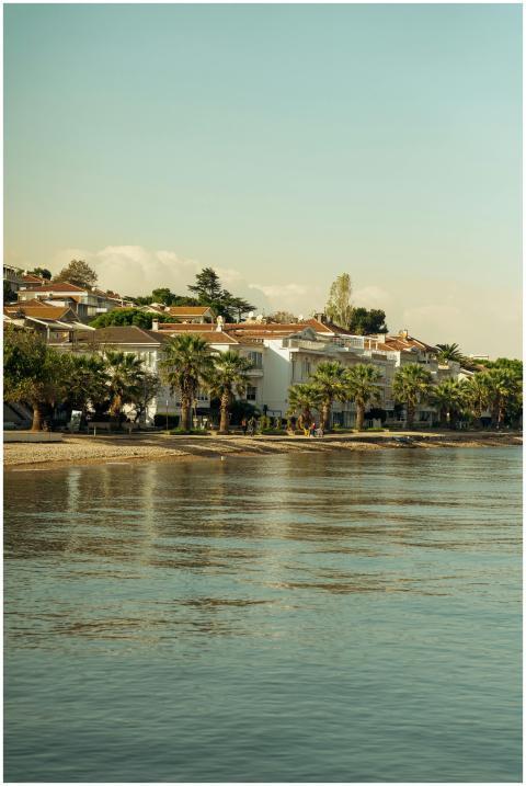 Tranquil Coastal Residential Landscape