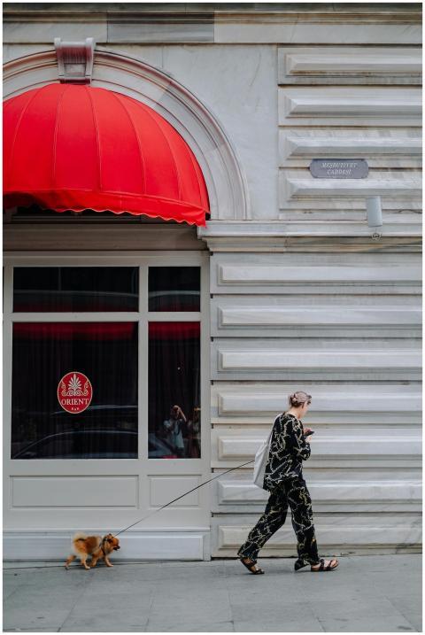 A woman walks her Pomeranian dog under a vibrant r