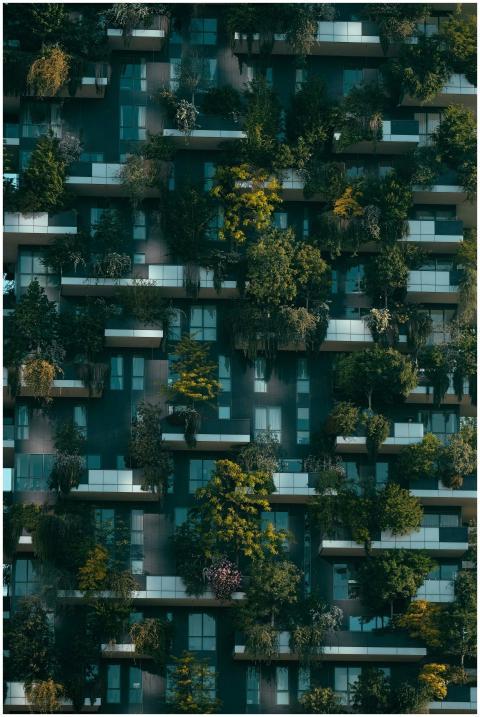 Facade of a contemporary building with lush greene