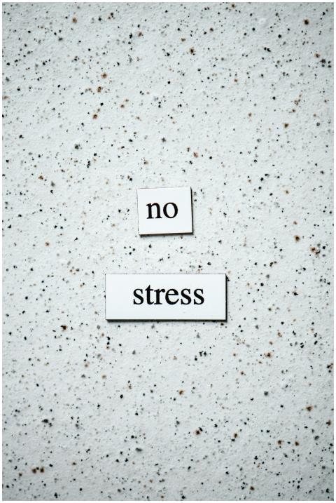 Minimalist text displaying 'no stress' on a textur
