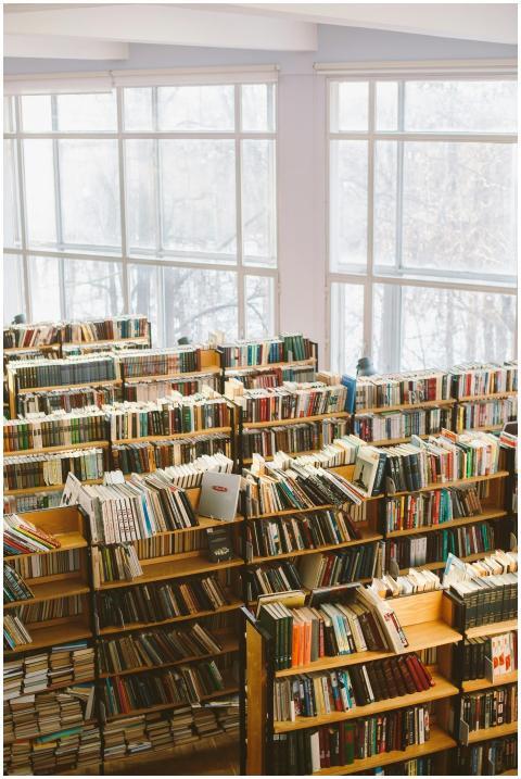 Spacious library room with bookshelves under natur