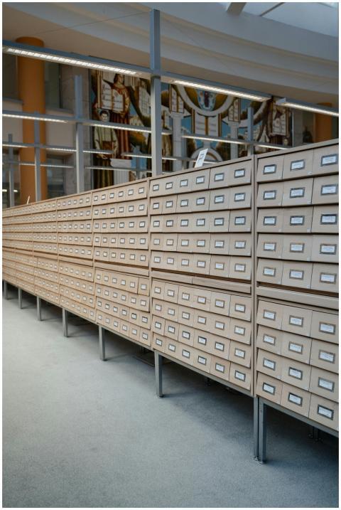 A modern library interior featuring a neat and exp