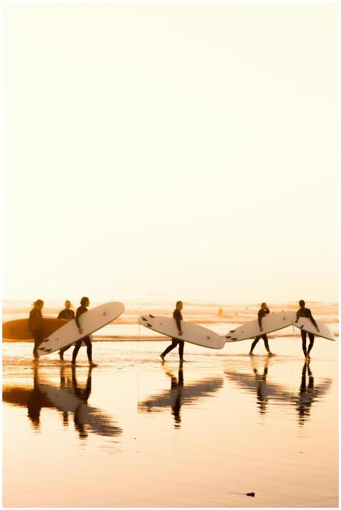 Silhouetted surfers carry boards across a serene C
