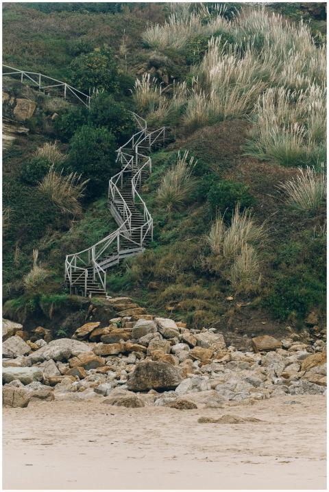 Wooden stairway winding through lush coastal cliff