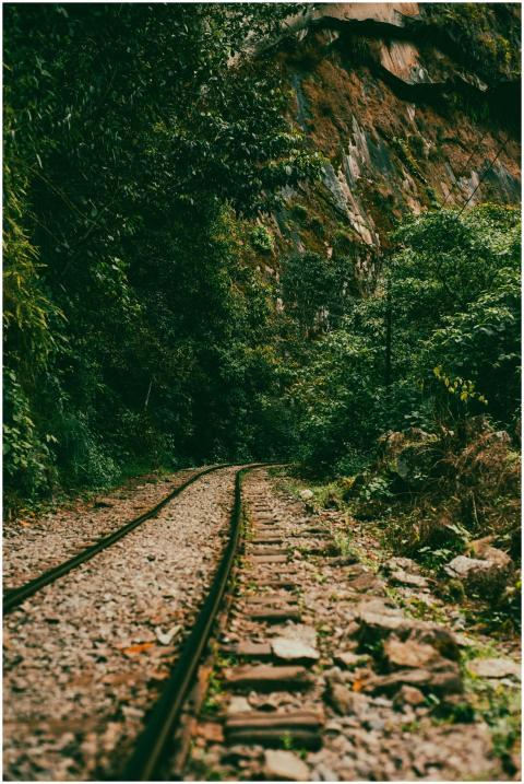 A serene railroad track winding through a dense, g
