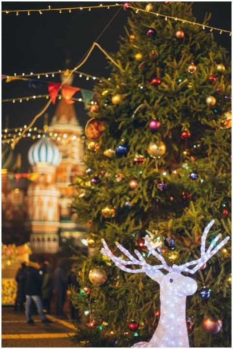 Brightly lit Christmas tree and reindeer decoratio