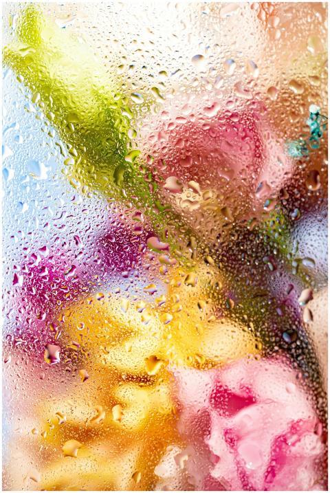 Colorful flowers seen through a water-specked glas