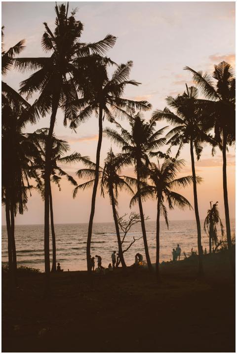 Silhouettes faceless people resting on beach near