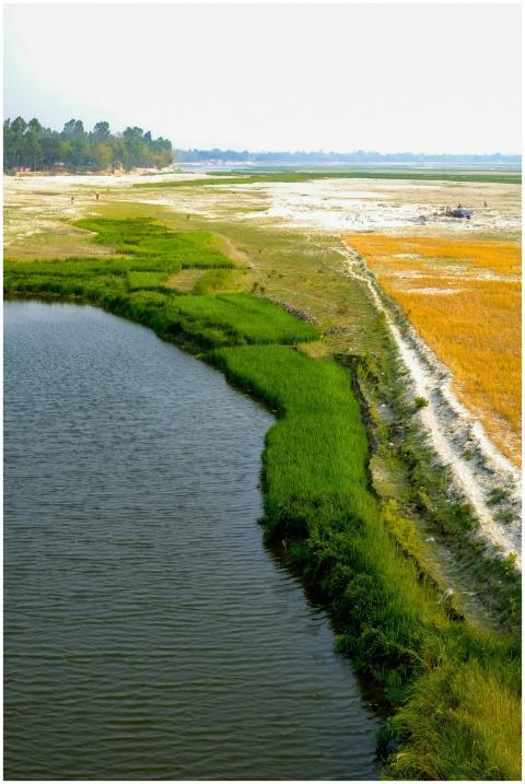 Aerial Lush Green Riverbank