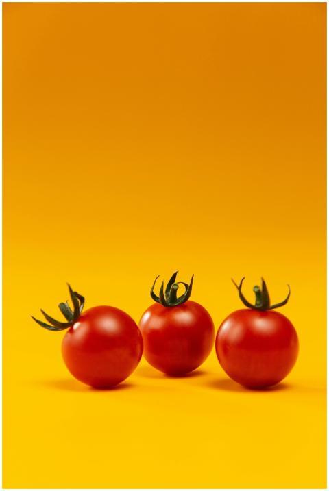 Vivid close-up of fresh cherry tomatoes isolated o