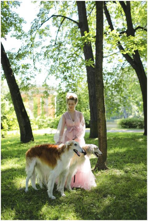 Woman in pink dress walking Borzoi dogs in a lush