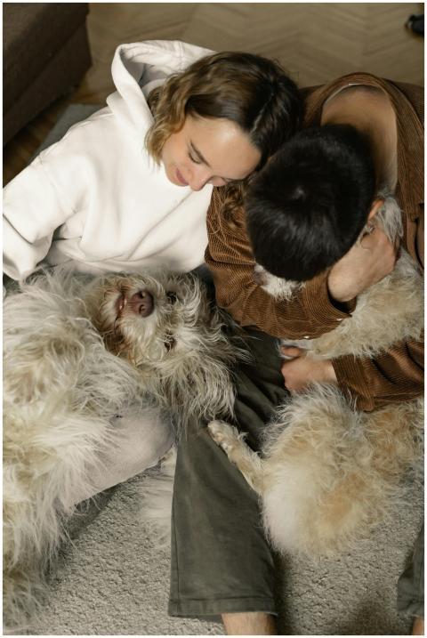 A couple cuddles with their fluffy dogs on a cozy
