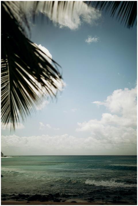 Peaceful tropical beach scene with palm leaves, oc