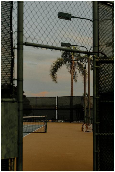 An outdoor tennis court with palm trees at sunset,