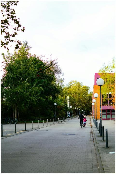 Free stock photo of bicycle, father and child
