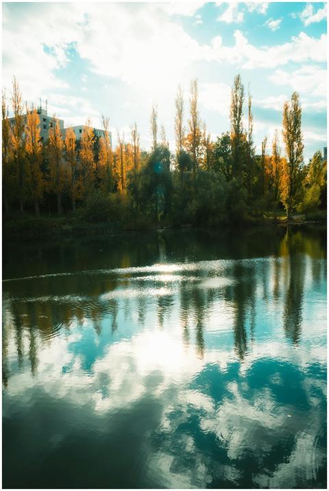 Free stock photo of autumn trees, beautiful sunny