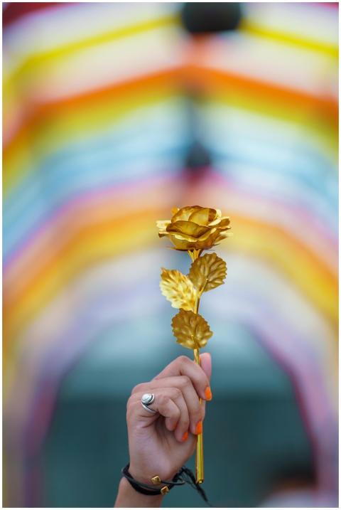 A gold rose held up against a vivid, colorful stri