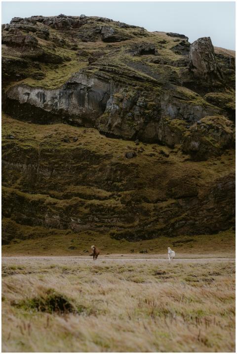Horses graze under a rocky hill in a serene, natur