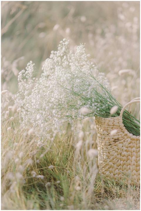 Idyllic summer field with white flowers in a woven