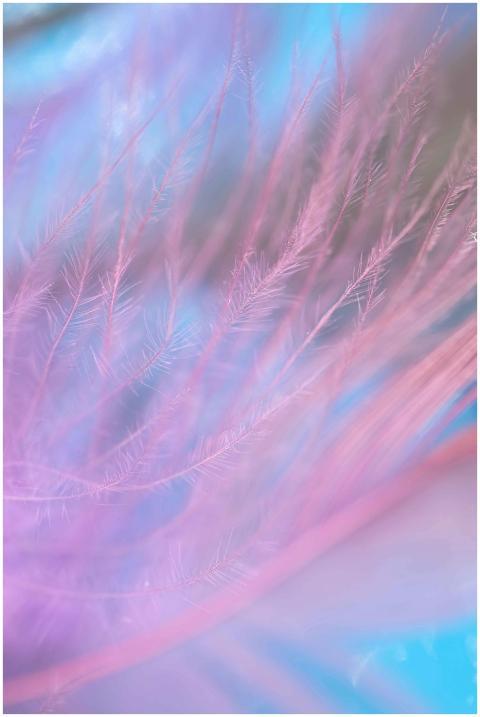 Abstract pastel feather design with vibrant colors