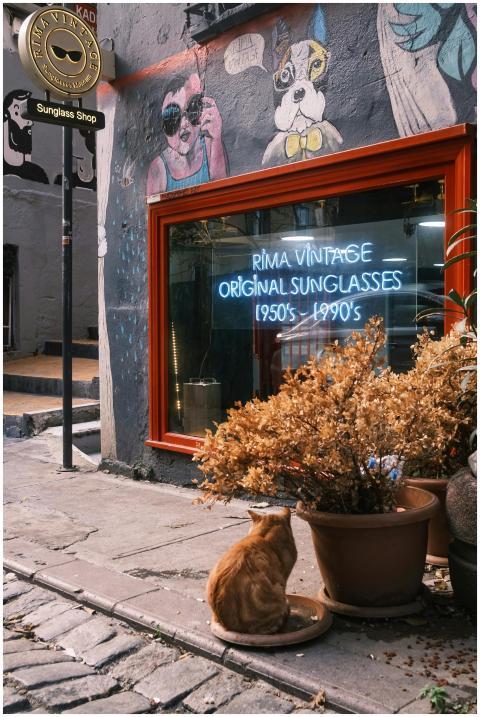 Quaint vintage sunglasses shop with artistic graff