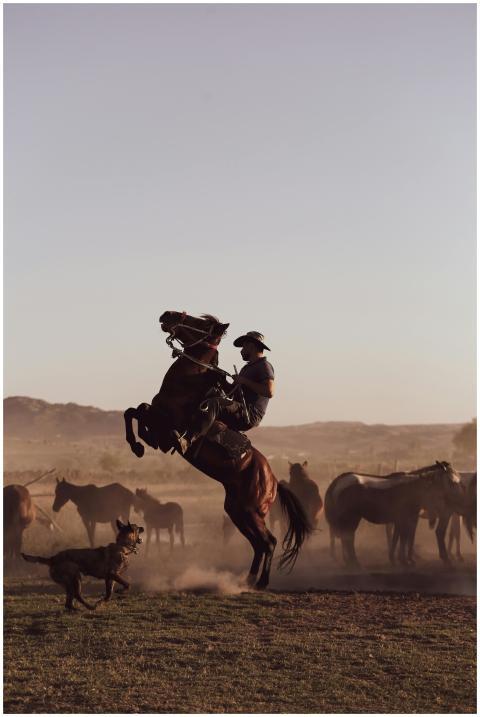 Cowboy riding a rearing horse in a dusty rural lan