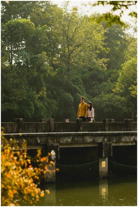 A couple enjoys a serene walk on a forest bridge s