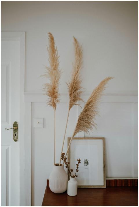 Minimalist interior design featuring pampas grass