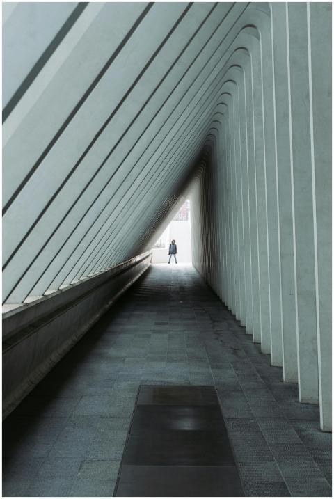 Intriguing perspective of a modern architectural h